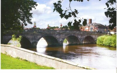 The Budget Report 2013