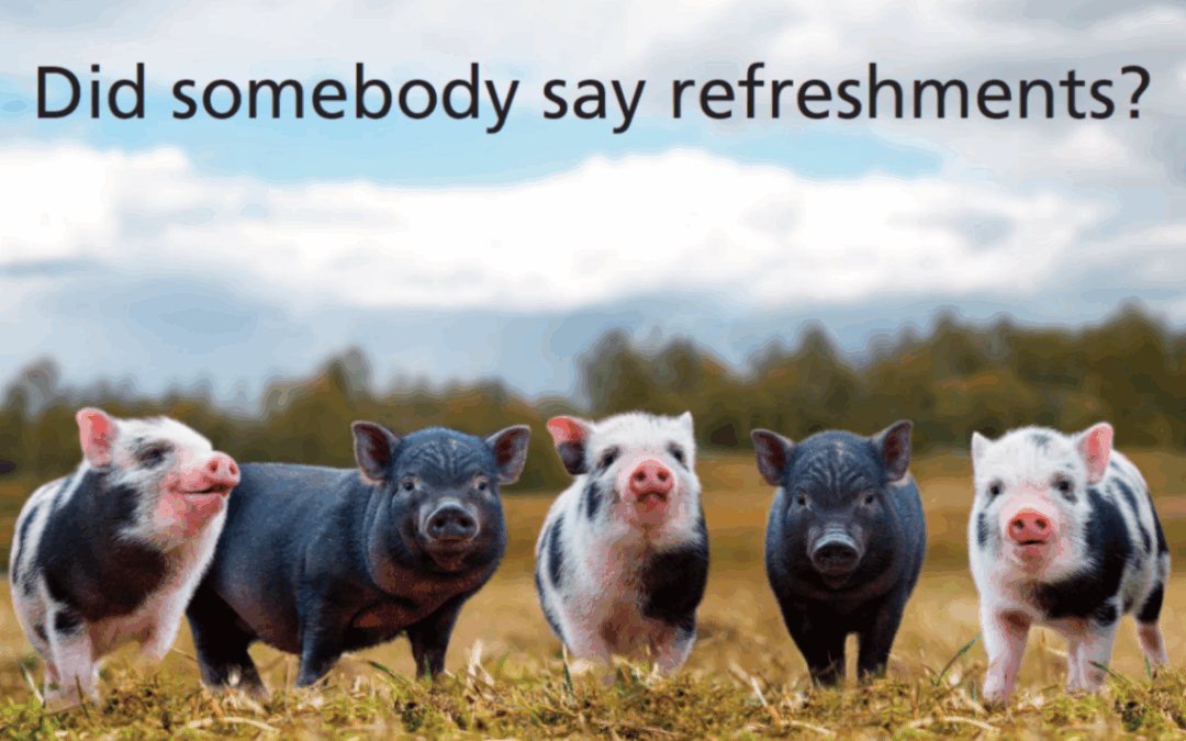 Minsterley Show 2025